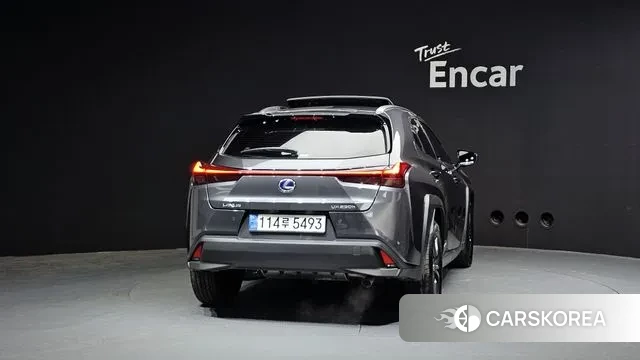 Lexus UX250h id 3740468 из Кореи 14