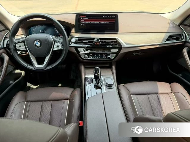 BMW 5 series 2022 Шампань из Китая, фото 4