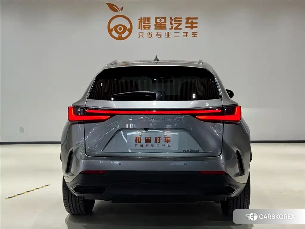 Lexus NX id 4659880 из Китая 10