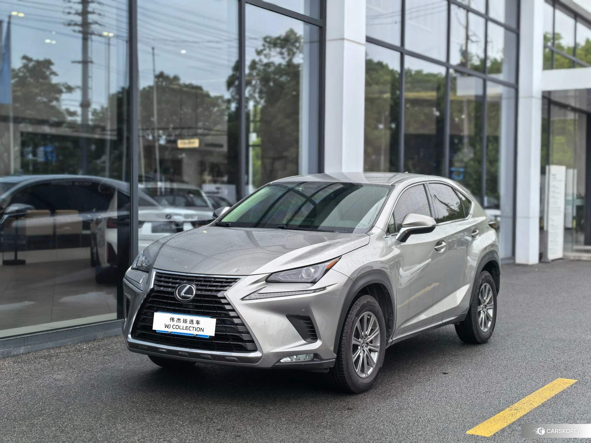 Lexus NX 2019 Серебристо-серый из Китая, фото 6