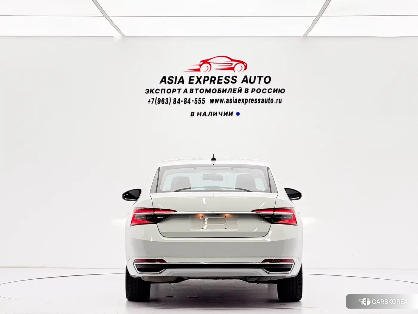 Skoda Speed pie id 4553920 из Китая 17
