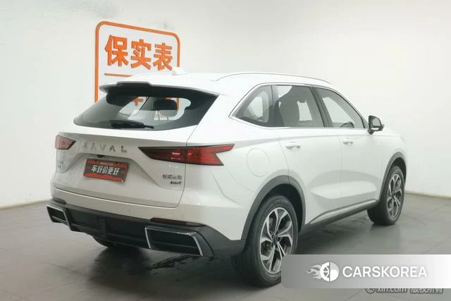 Haval Xiaolong MAX id 4210175 из Китая 18