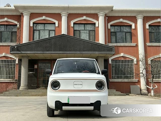 Geely Galaxy panda 2024 Белый из Китая, фото 4