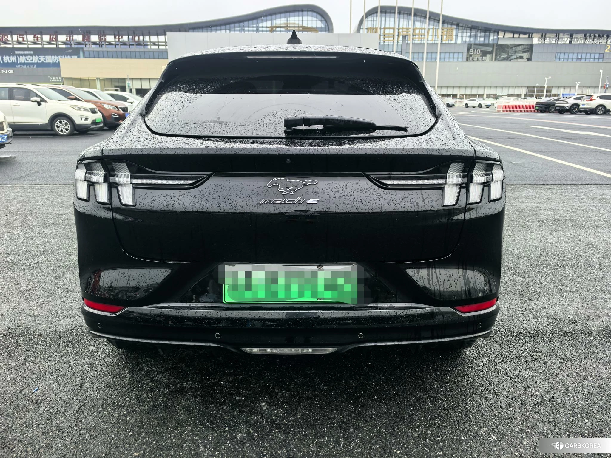 Ford Electric horse 2021 Черный из Китая, фото 6