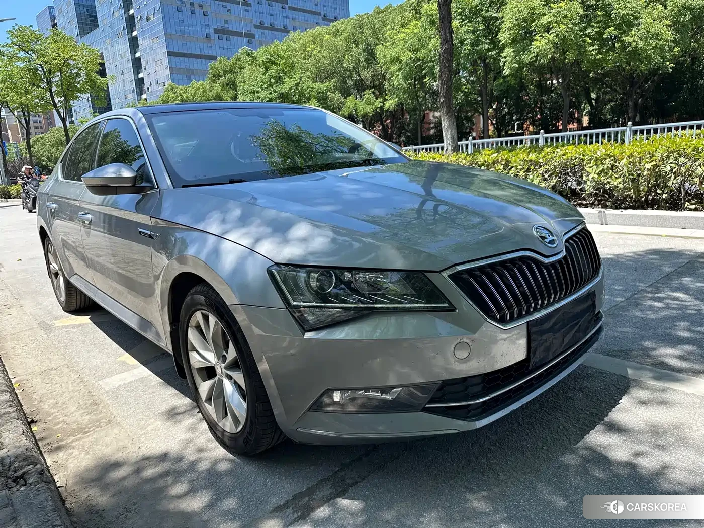 Skoda Speed pie id 4576643 из Китая 10