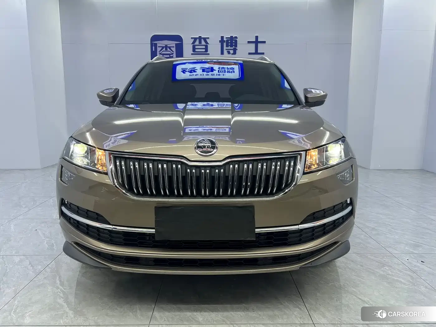Skoda Krok id 4538662 из Китая 18
