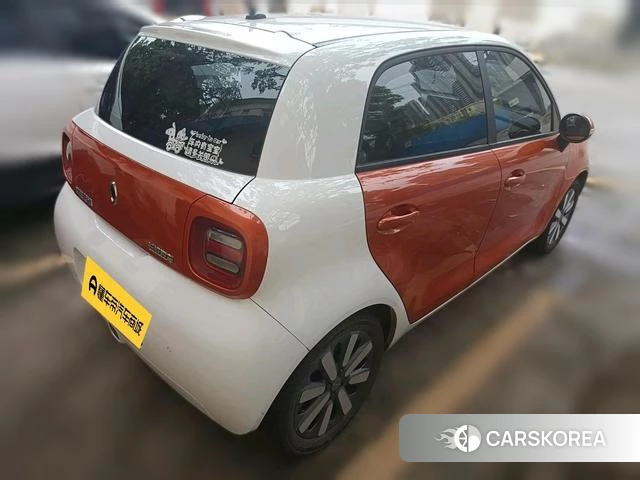 Euler Black cat 2021 Другой из Китая, фото 4