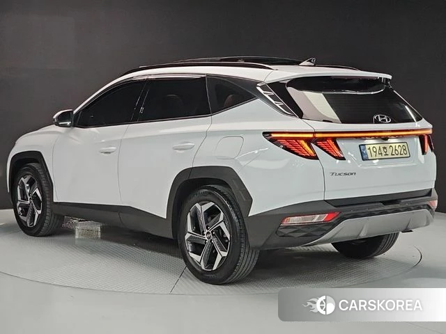 Hyundai Tucson (NX4) 2022 Белый из Кореи, фото 6