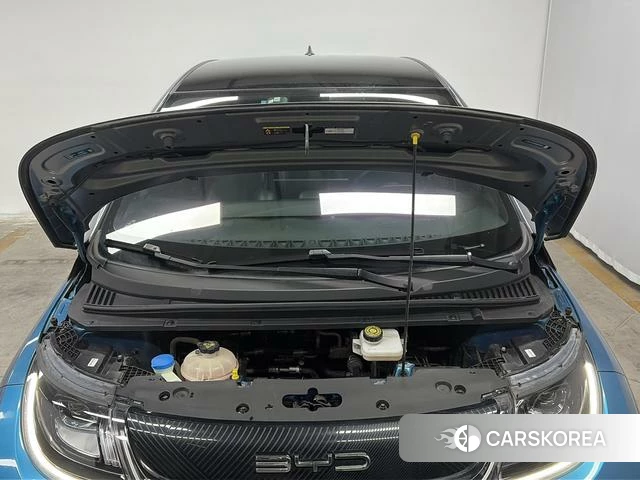 BYD dolphin id 4216848 из Китая 14