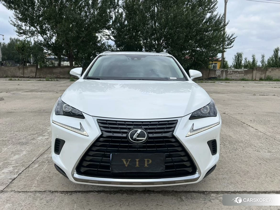 Lexus NX id 4461344 из Китая 18