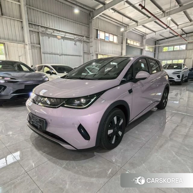 BYD dolphin 2025 Другой из Китая, фото 6