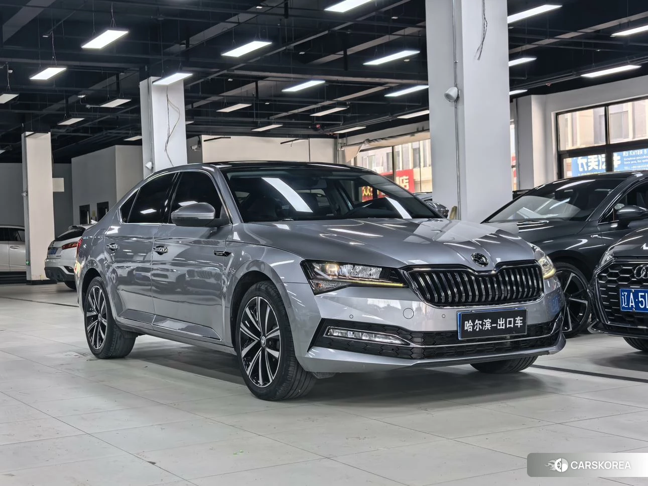 Skoda Speed pie id 4452178 из Китая 19