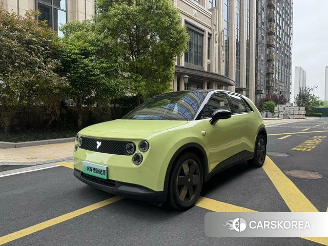 firefly firefly Unknown id 4182512 из Китая 8