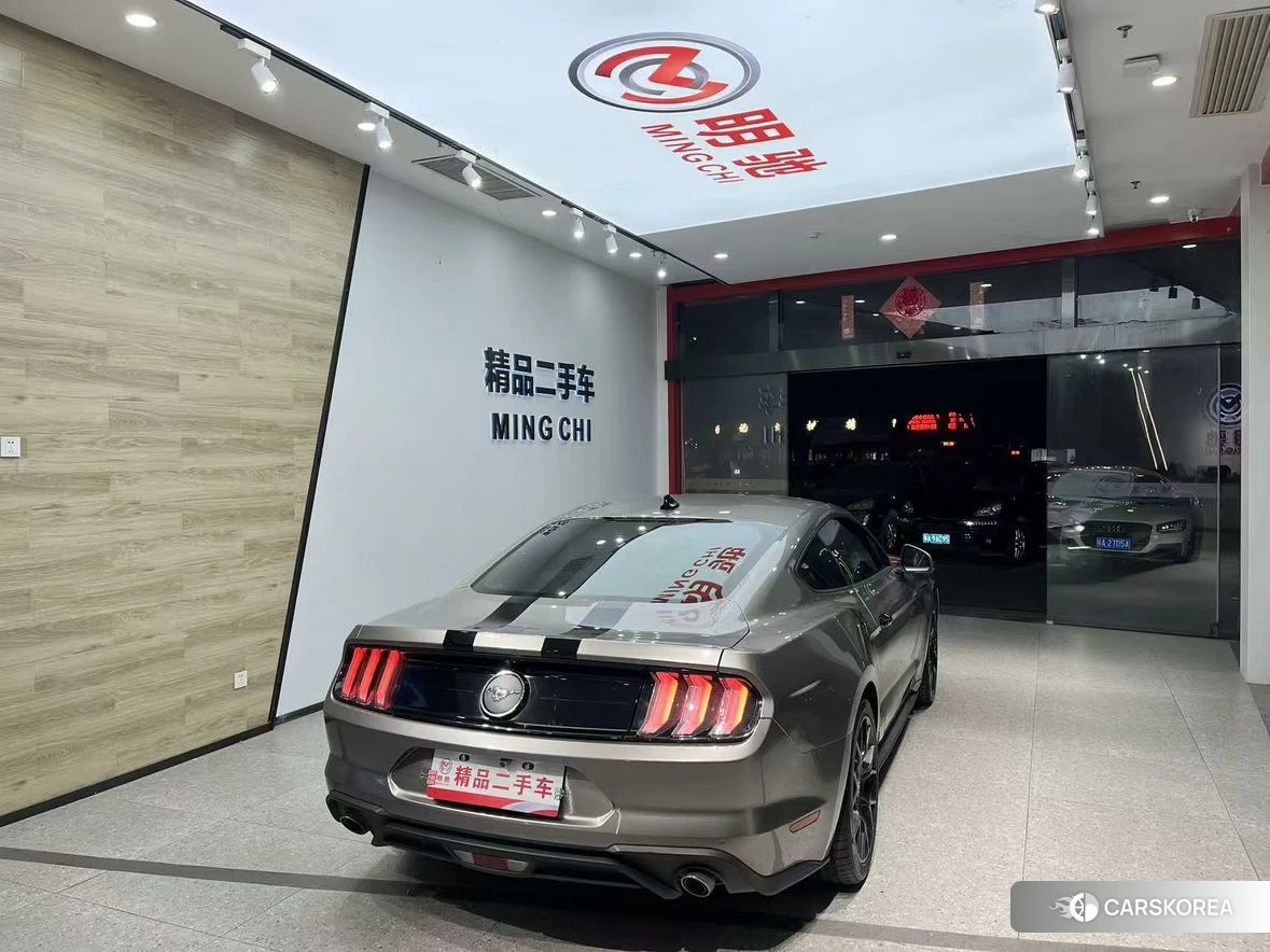 Ford Mustang id 4479446 из Китая 13