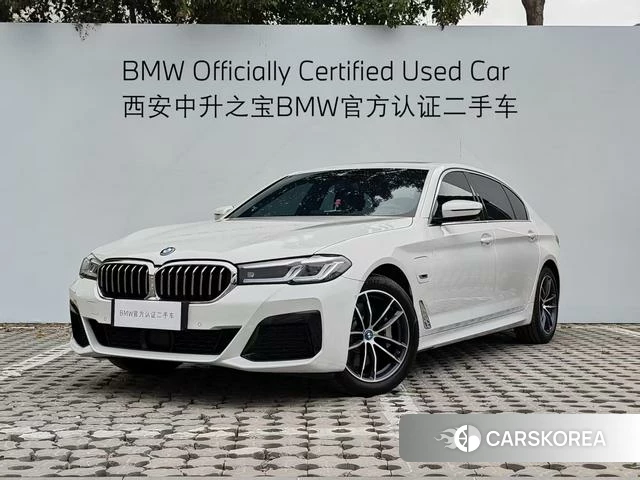 BMW 5 series PHEV id 4260595 из Китая 8