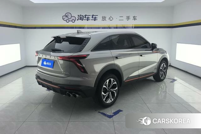 Haval Divine beast id 4212356 из Китая 11