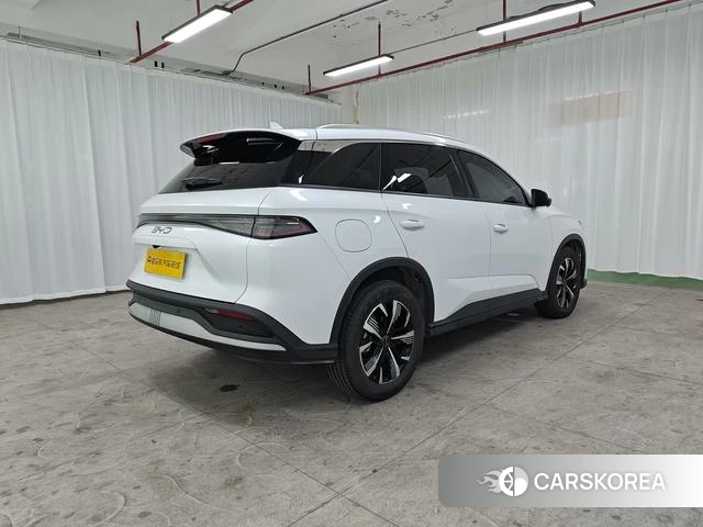 BYD Sea Lion 05DM id 3969098 из Китая 14
