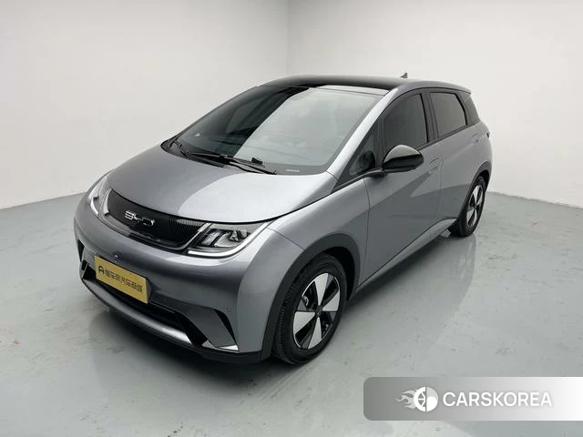 BYD dolphin id 4236414 из Китая 14