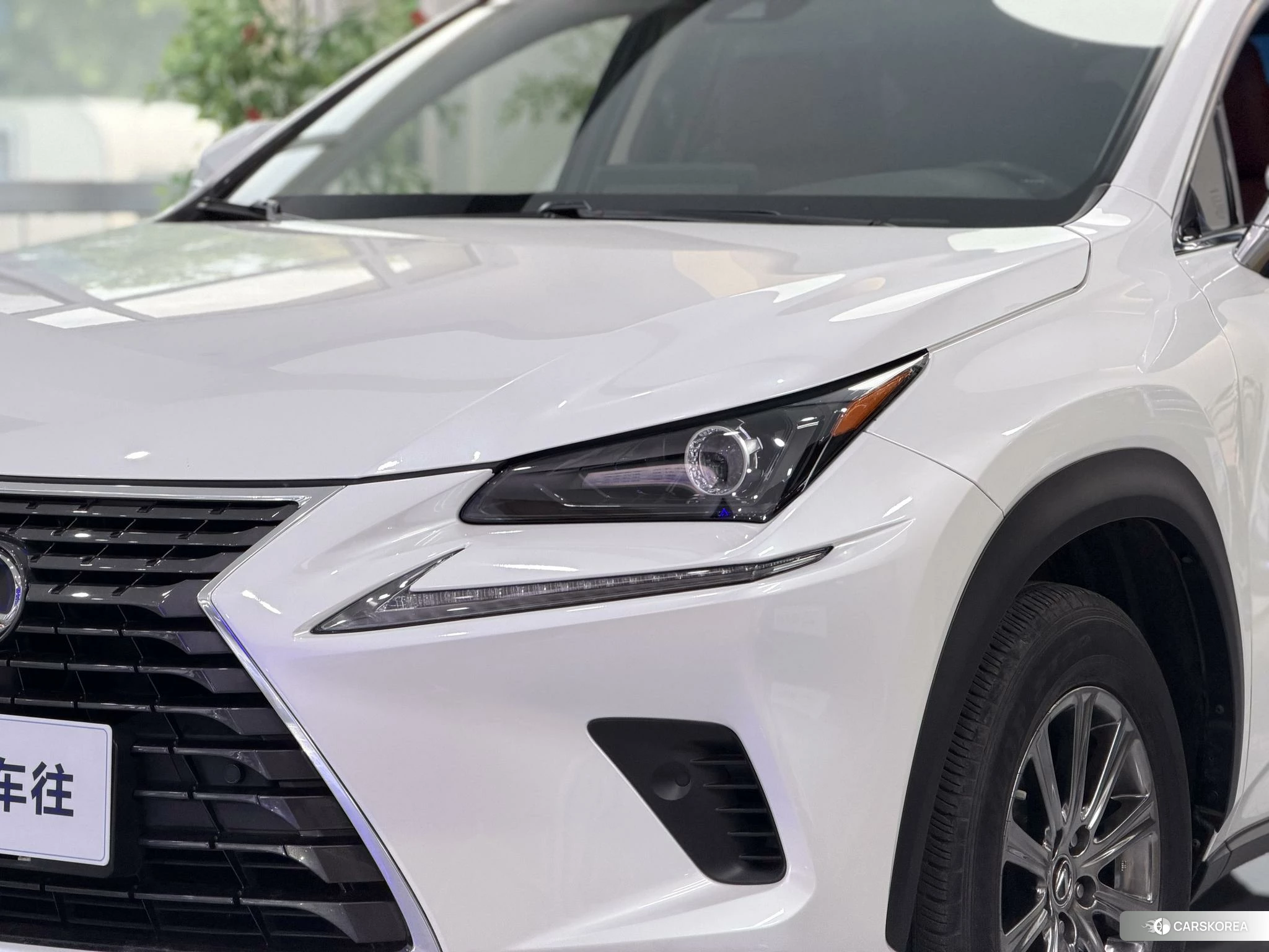 Lexus NX id 4512863 из Китая 14