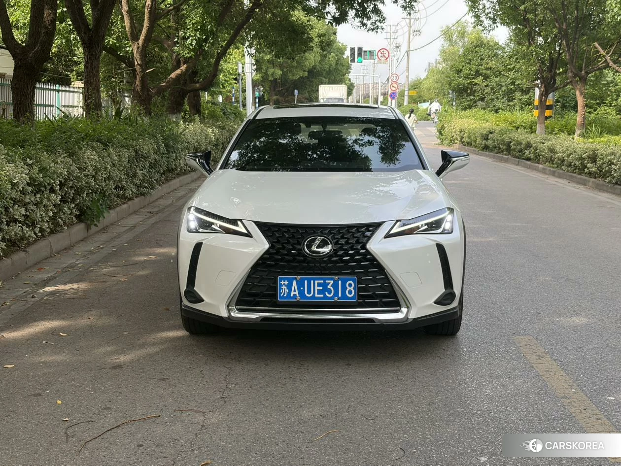 Lexus UX 2020 Белый из Китая, фото 5