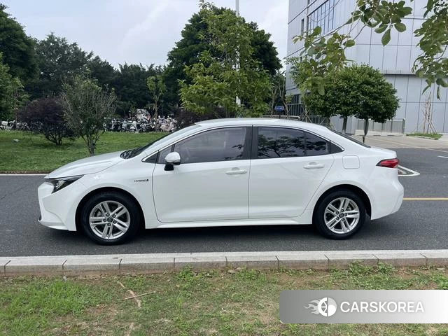 Toyota Lei Ling id 4301691 из Китая 16