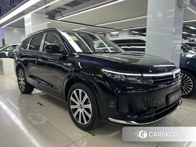 AITO Ask the world M7 id 4028227 из Китая 17