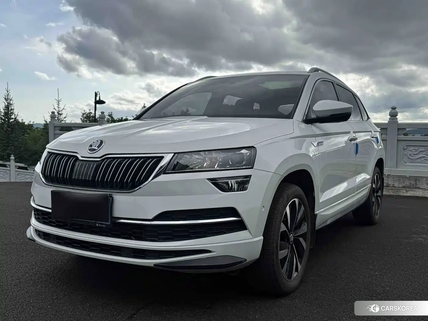 Skoda Karoq id 4669235 из Китая 17