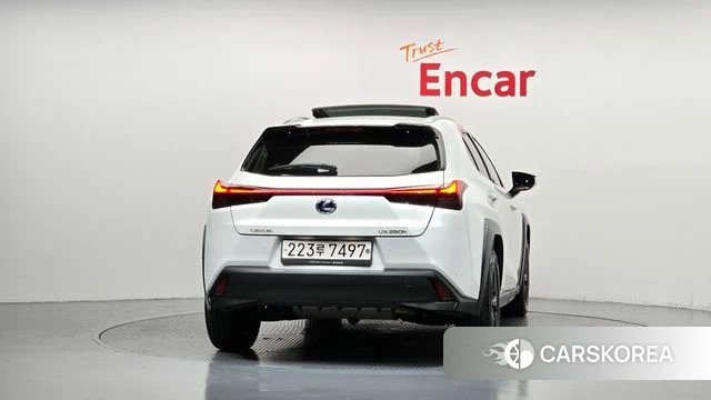 Lexus UX250h id 4784715 из Кореи 14