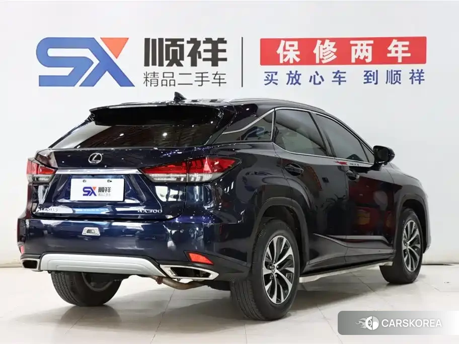 Lexus RX id 4553813 из Китая 14