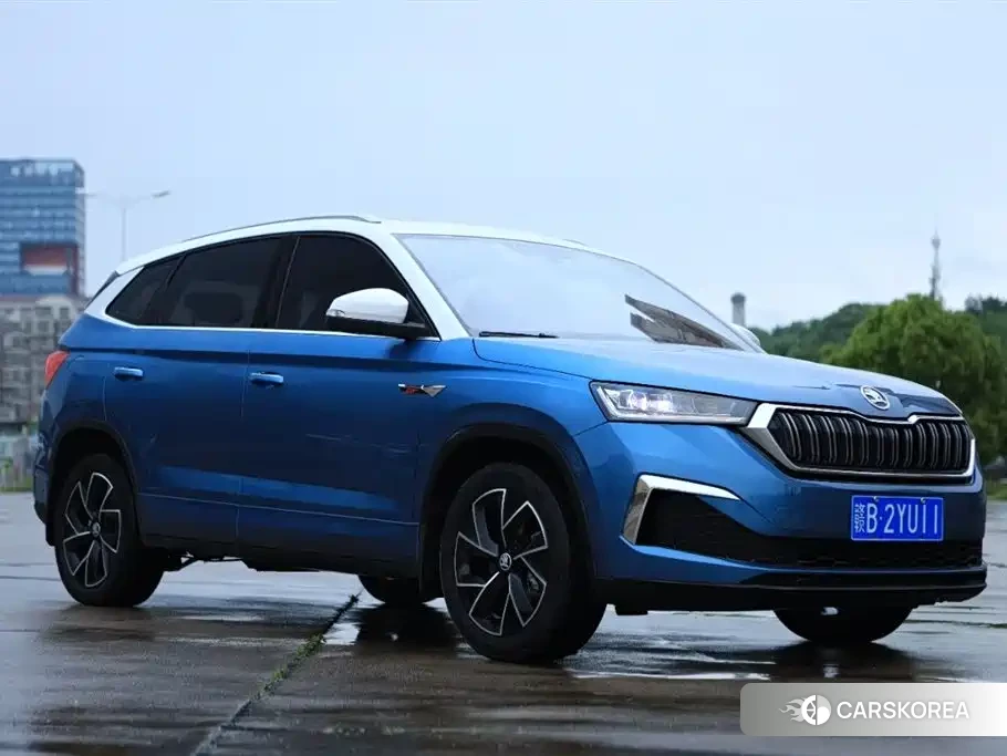 Skoda Kamiq id 4654579 из Китая 12