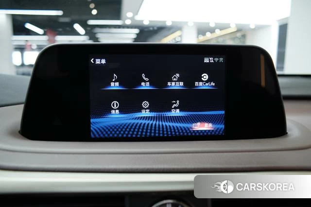 Lexus RX id 4301758 из Китая 10