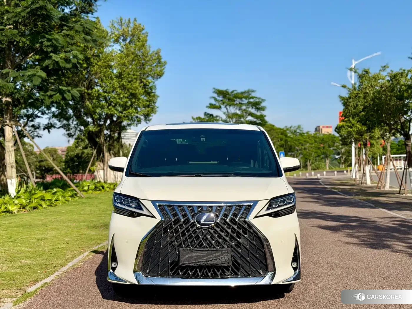 Lexus LM 2022 Белый из Китая, фото 6