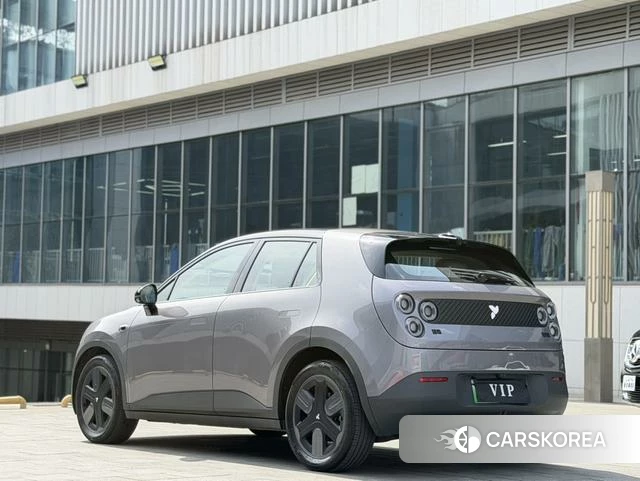 firefly firefly Unknown id 4198869 из Китая 20