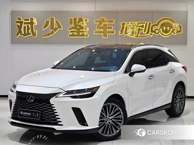 Lexus RX 2023 Белый из Китая, фото 6