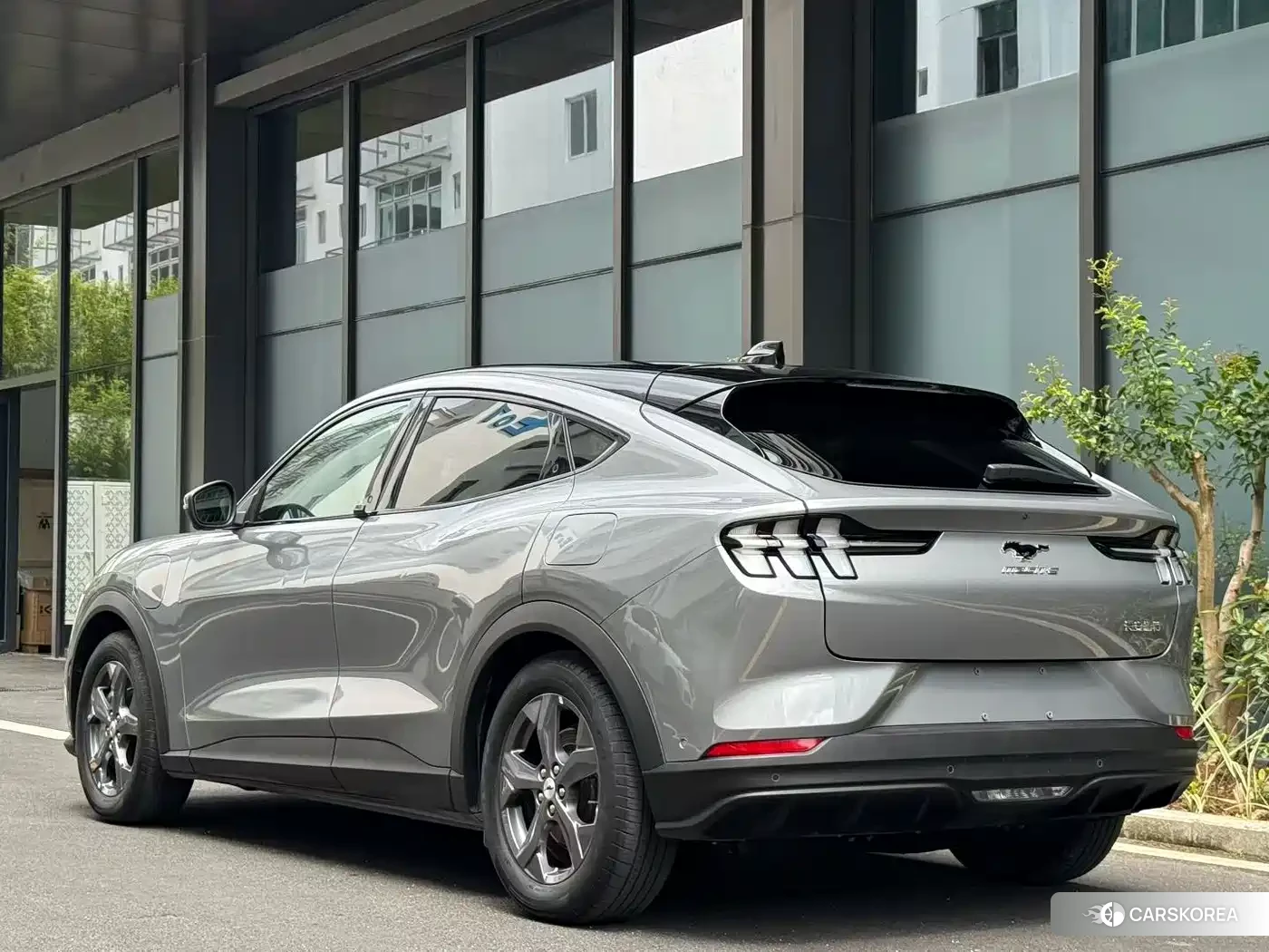 Ford Electric horse 2022 Silver/gray из Китая, фото 4