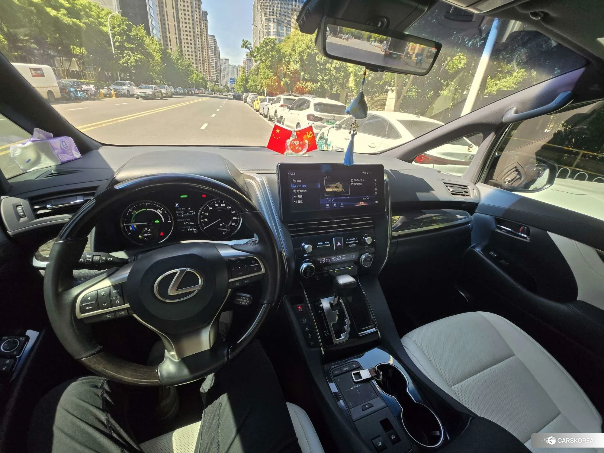 Lexus LM 2020 Черный из Китая, фото 4