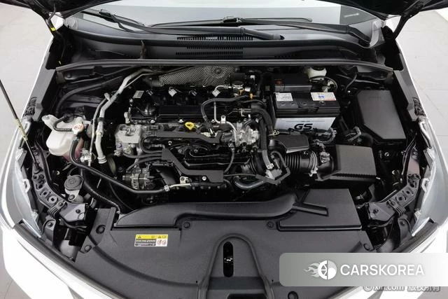 Toyota Asian lion id 4262445 из Китая 18