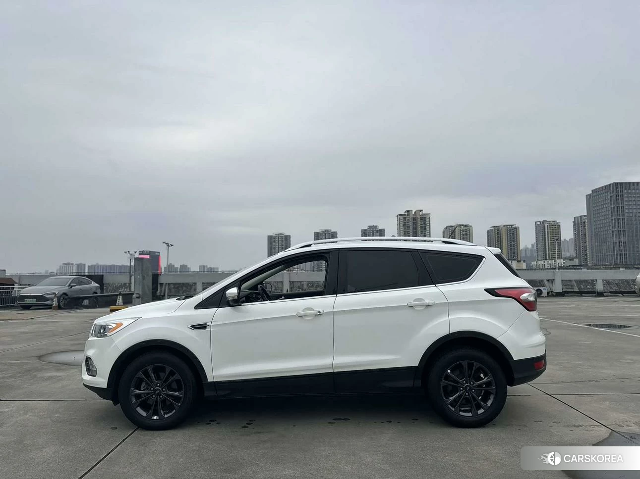 Ford Winged Tiger 2019 Белый из Китая, фото 4