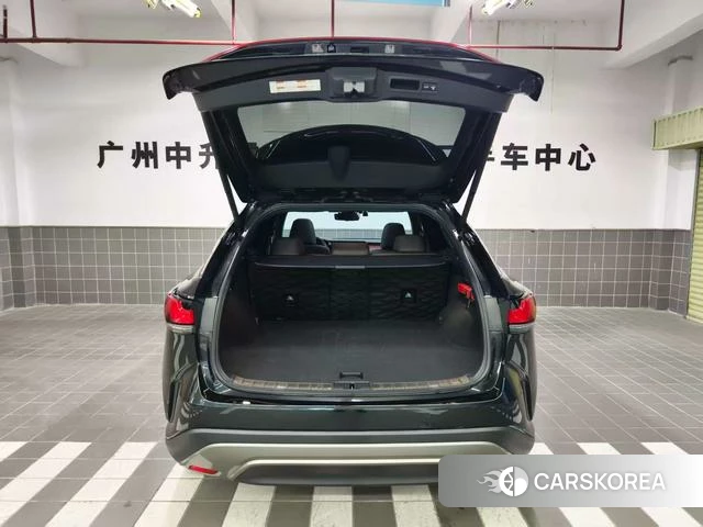 Lexus RX PHEV id 4261514 из Китая 17
