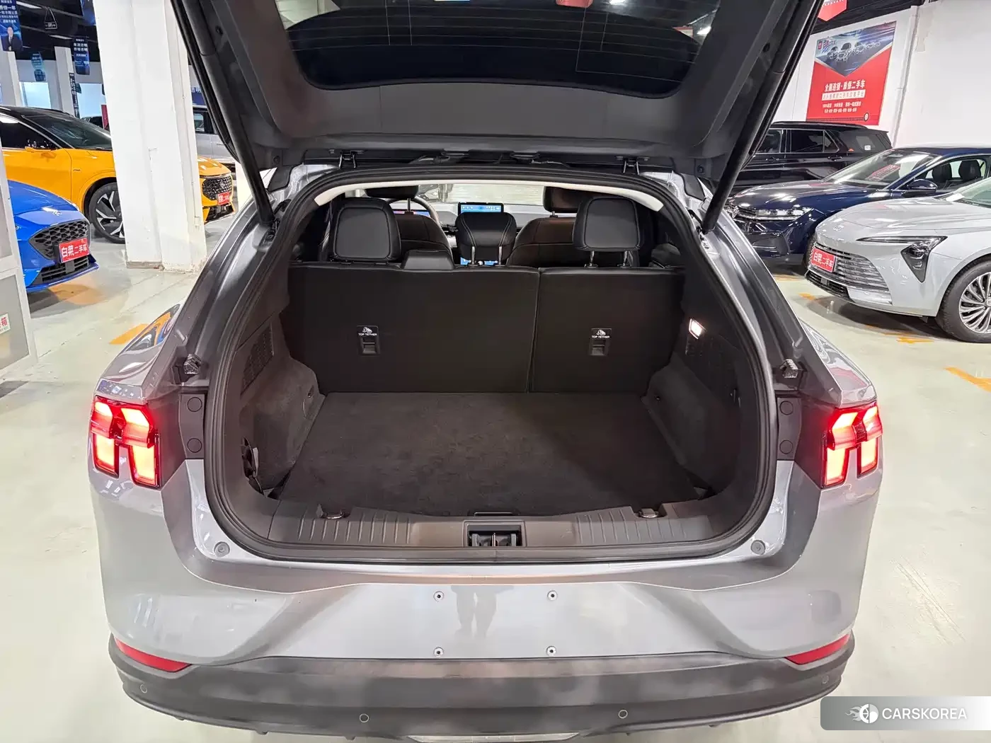 Ford Electric horse id 4628238 из Китая 11