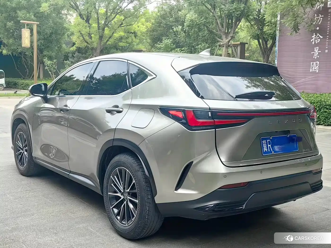Lexus NX 2023 Зеленый из Китая, фото 4