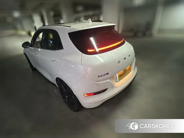 Euler Good cat 2024 Белый из Китая, фото 4