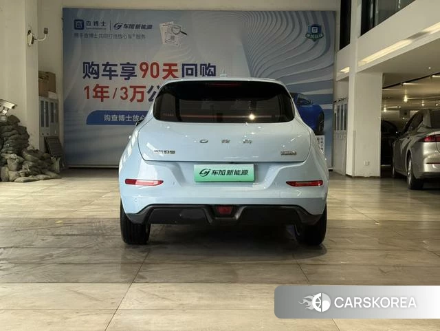 Euler Good cat 2022 Синий из Китая, фото 4