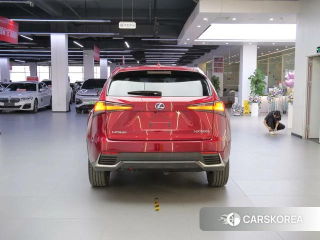 Lexus NX id 4254448 из Китая 14