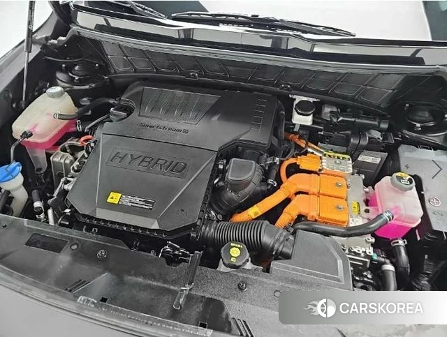 Kia Di Ol Nu Niro id 4601337 из Кореи 12