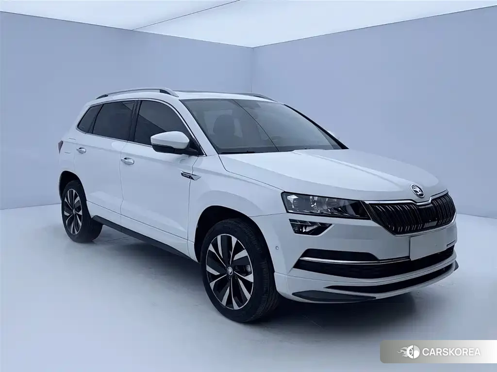 Skoda Krok id 4546426 из Китая 17