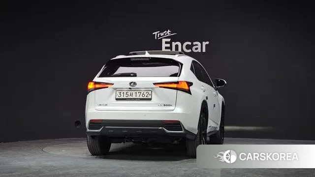 Lexus NX300h id 3761101 из Кореи 14