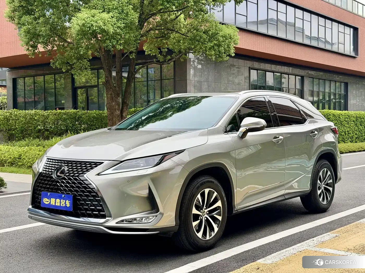 Lexus RX id 4622533 из Китая 20