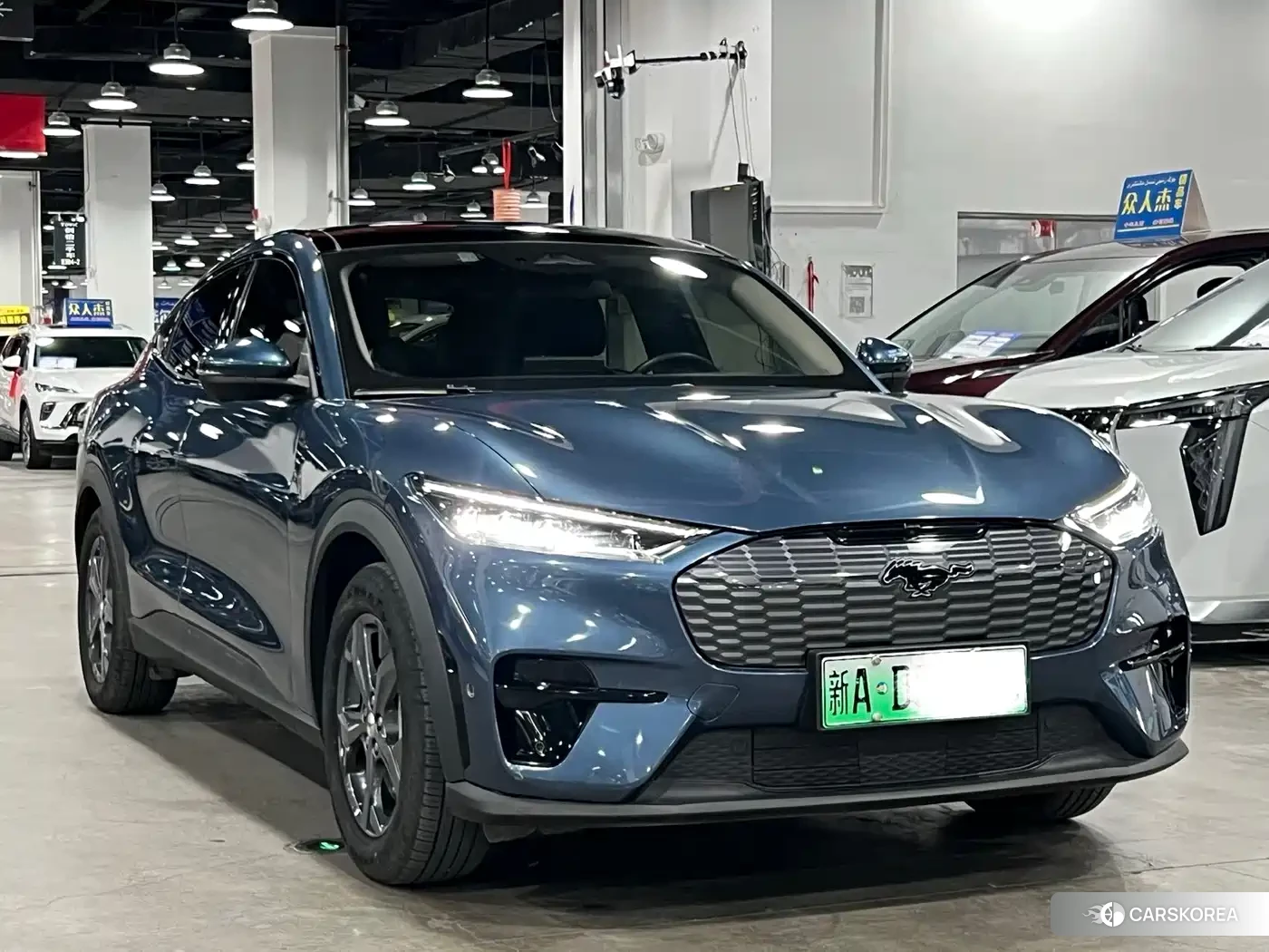 Ford Electric horse 2023 Синий из Китая, фото 4
