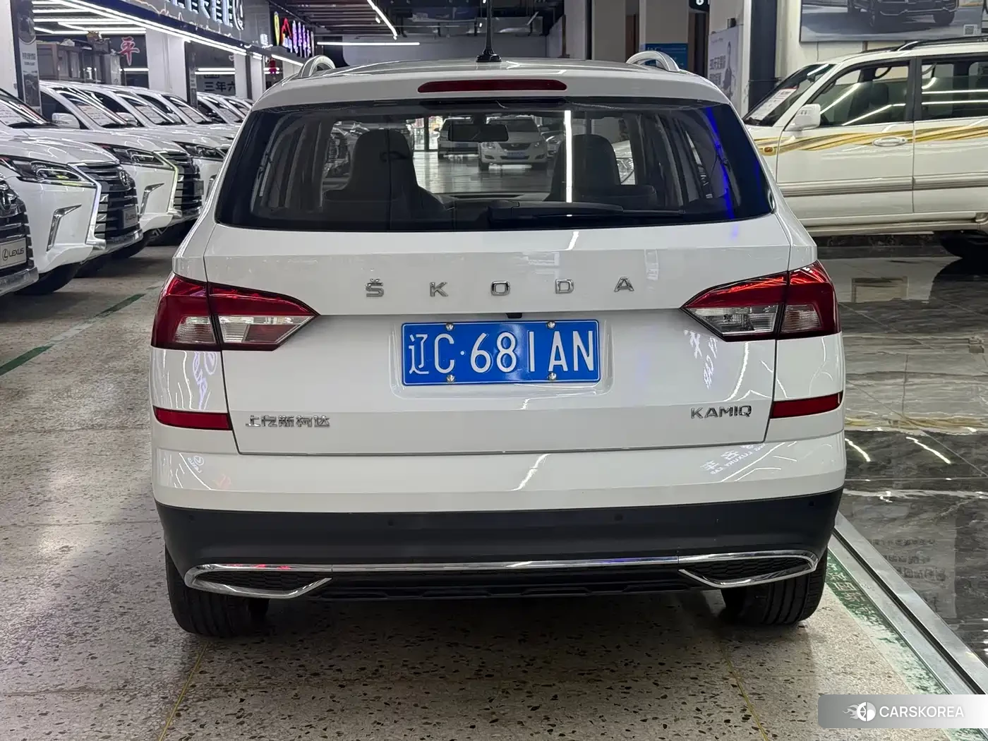 Skoda Kamiq id 4589136 из Китая 14